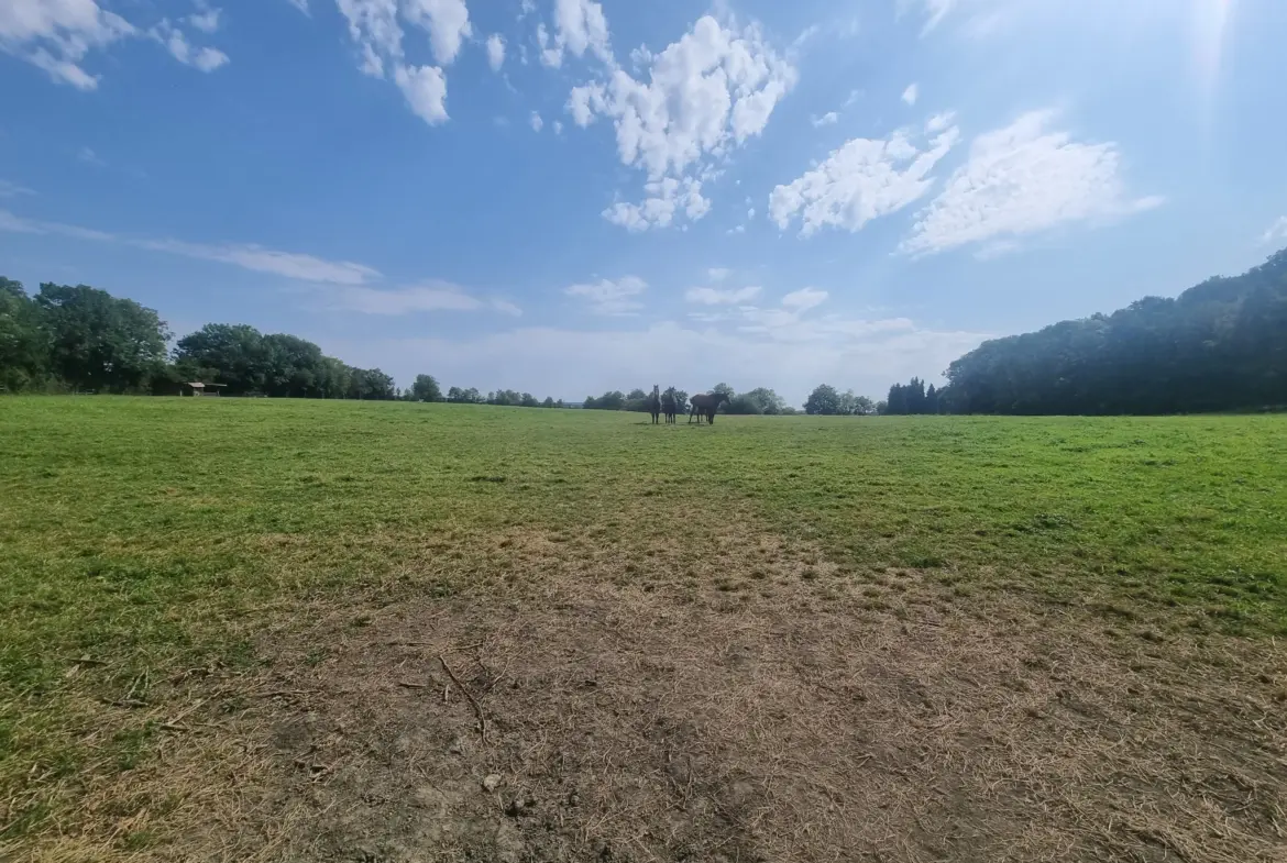 Maison de campagne spacieuse de 140m2 à Le Mêle-Sur-Sarthe 