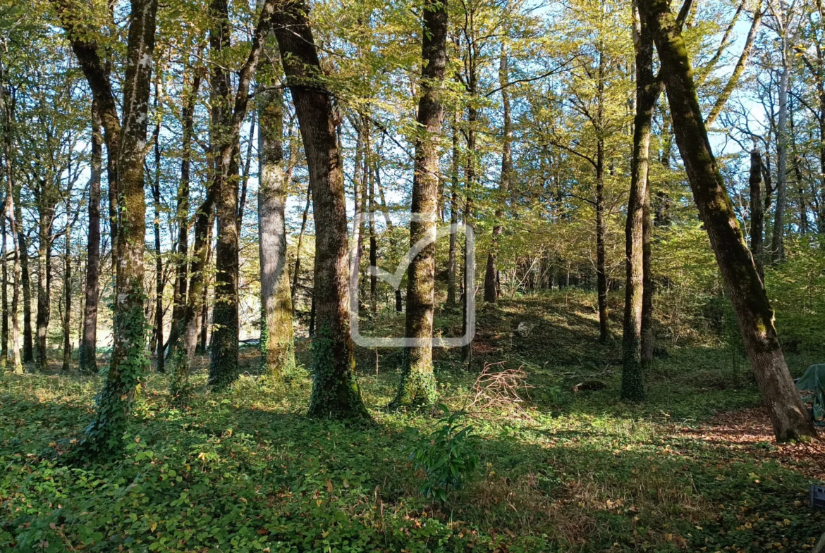 Maison avec granges et terrain à Coulaures 