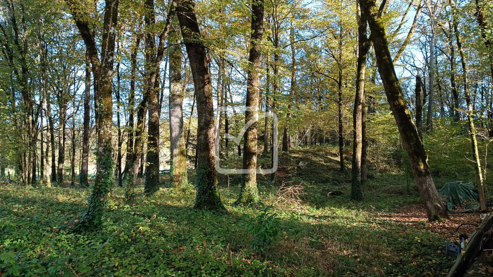 Maison avec granges et terrain à Coulaures 