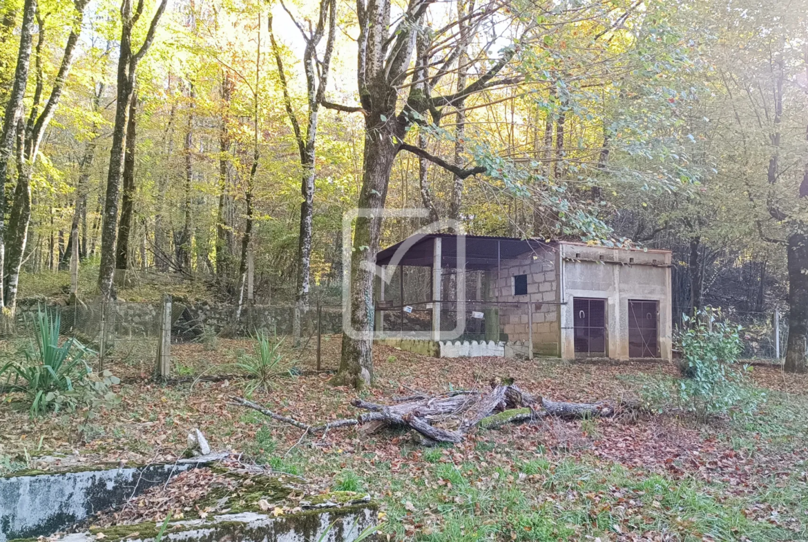 Maison avec granges et terrain à Coulaures 