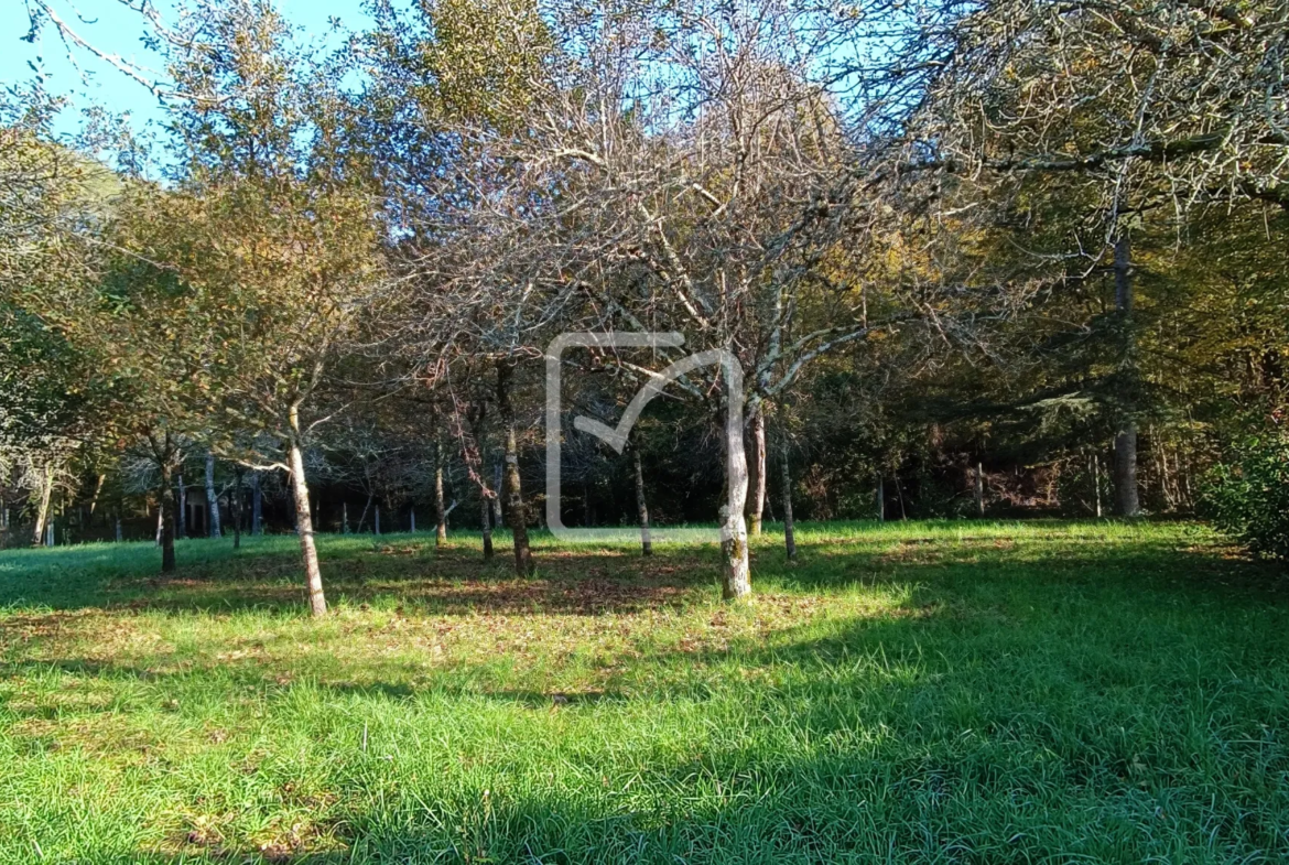 Maison avec granges et terrain à Coulaures 