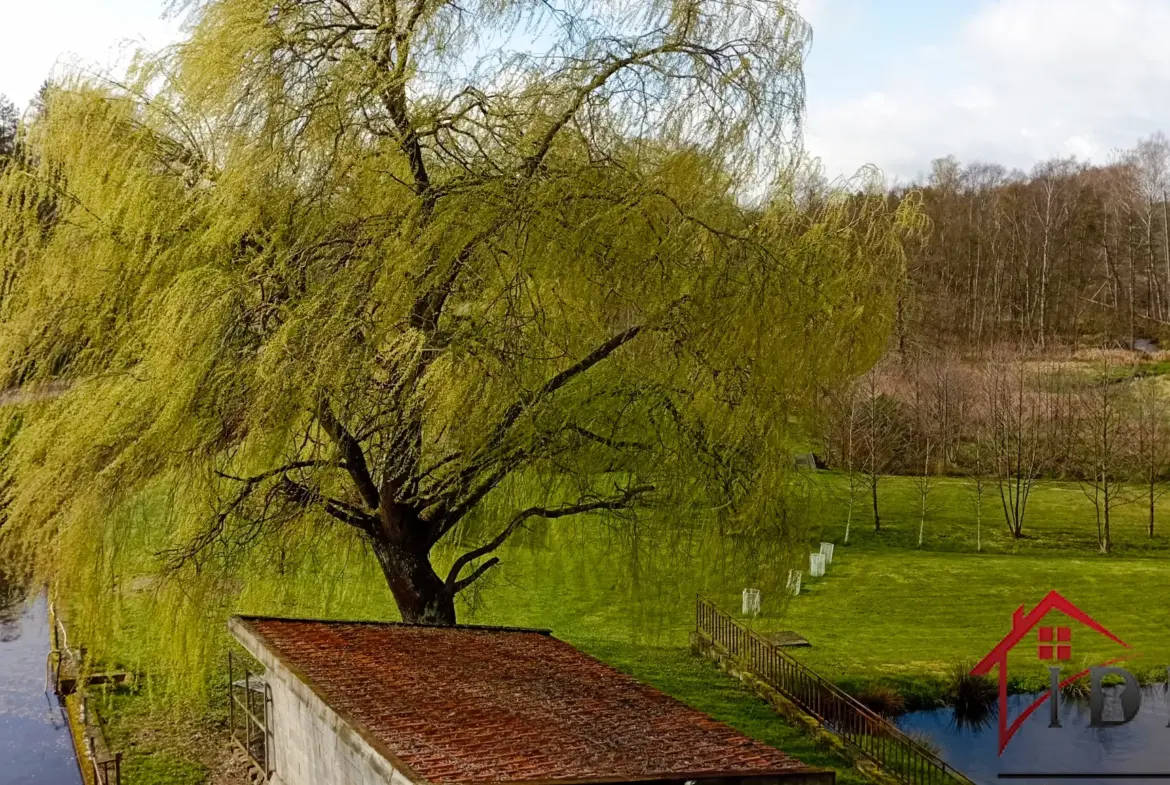 Maison spacieuse 5 pièces, 170 m² à Arches avec terrain et étang 