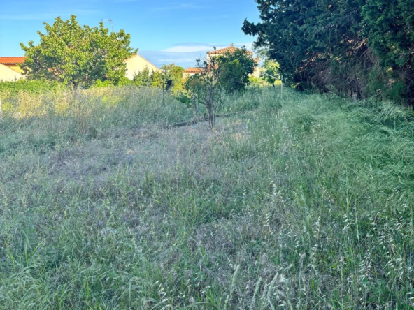 Terrain viabilisé de 600 m² à Frontignan