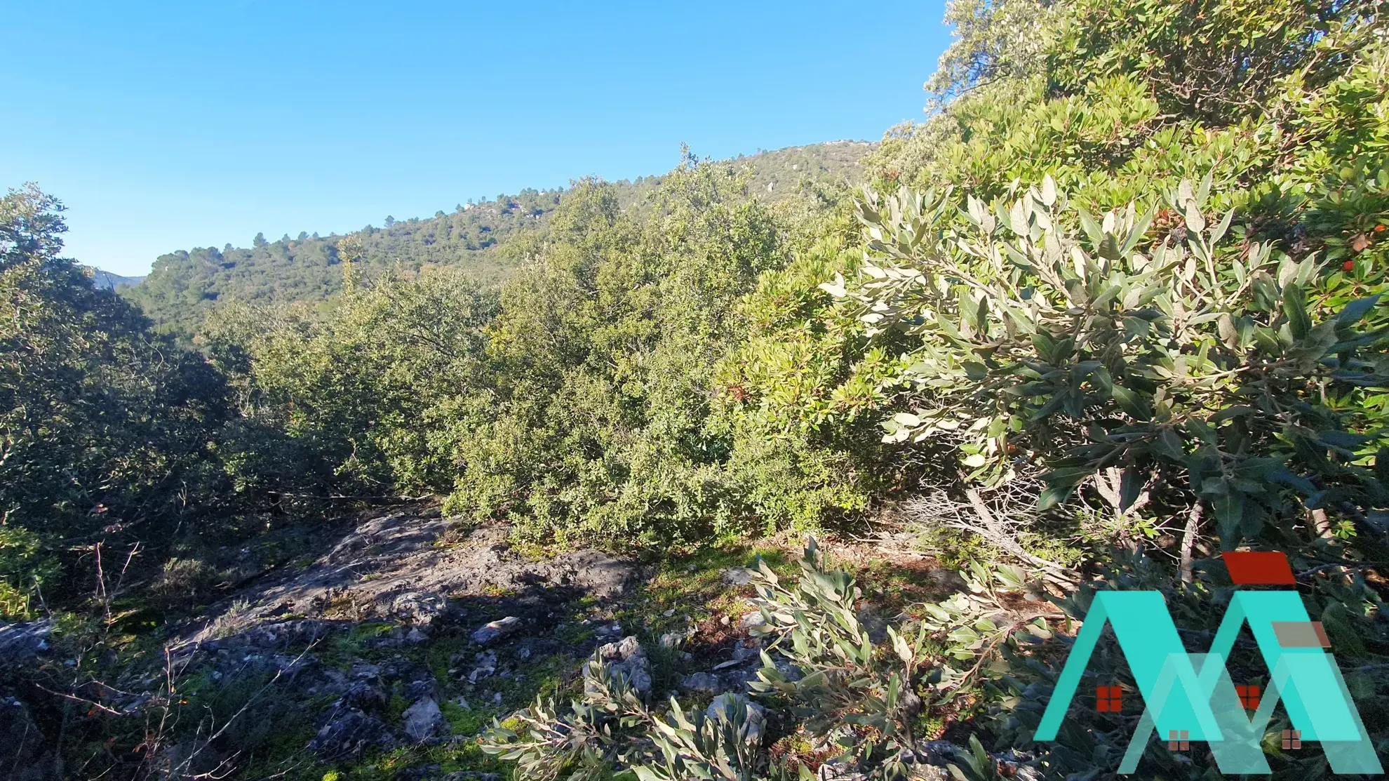 Terrain non constructible de 19 500 m2 à Signes 