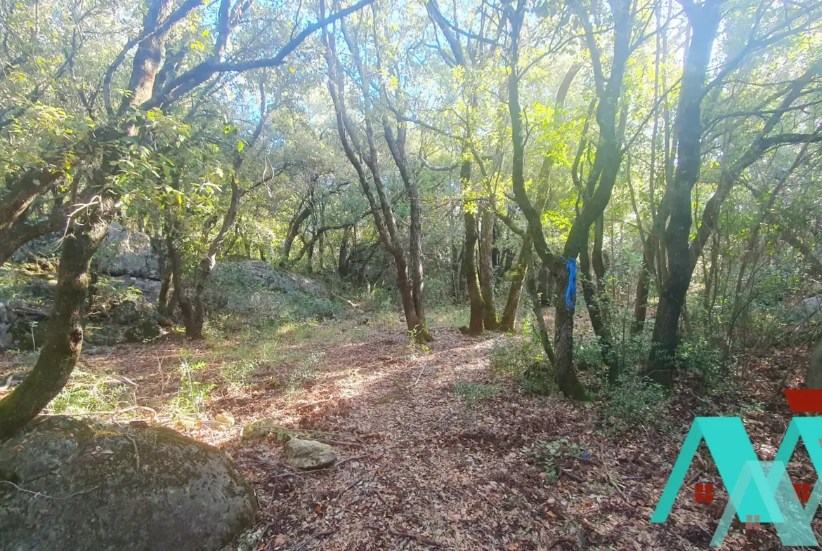 Terrain non constructible de 19 500 m2 à Signes 