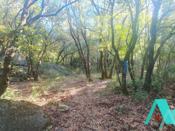 Terrain non constructible de 19 500 m2 à Signes