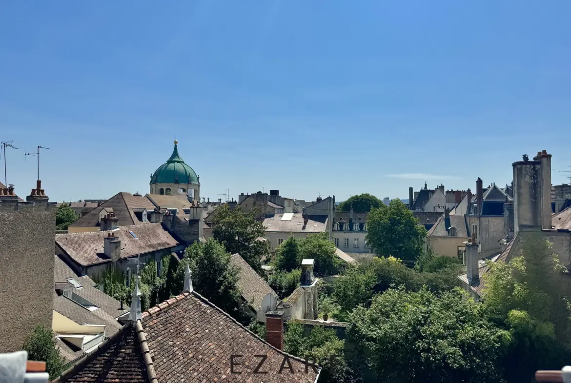 Plateau à aménager - Hôtel particulier à Dijon 