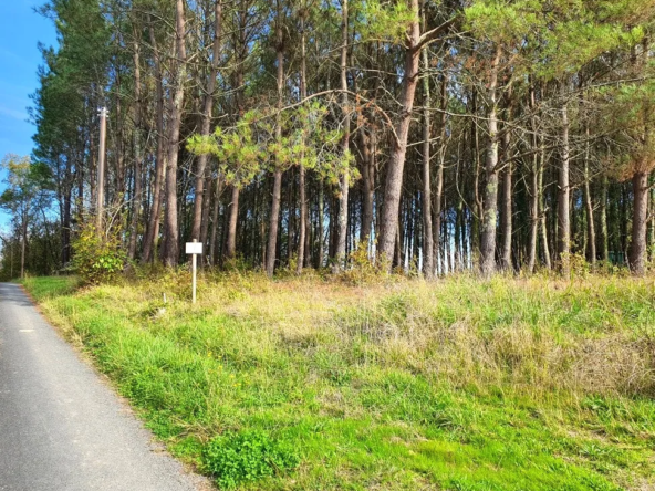 Terrain à bâtir de 5395 m² à Saint-Germain-du-Salembre