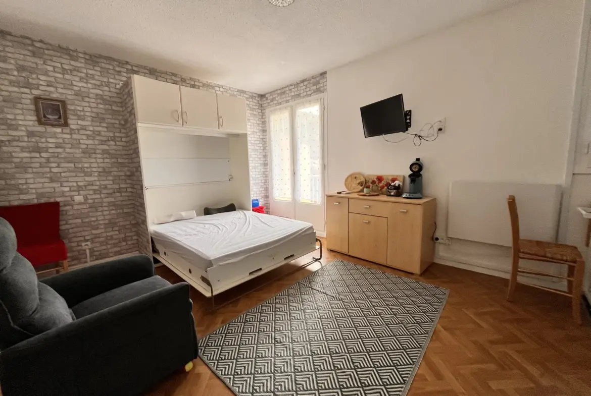 Vente Studio Meublé à Amélie-les-Bains-Palalda avec Balcon 