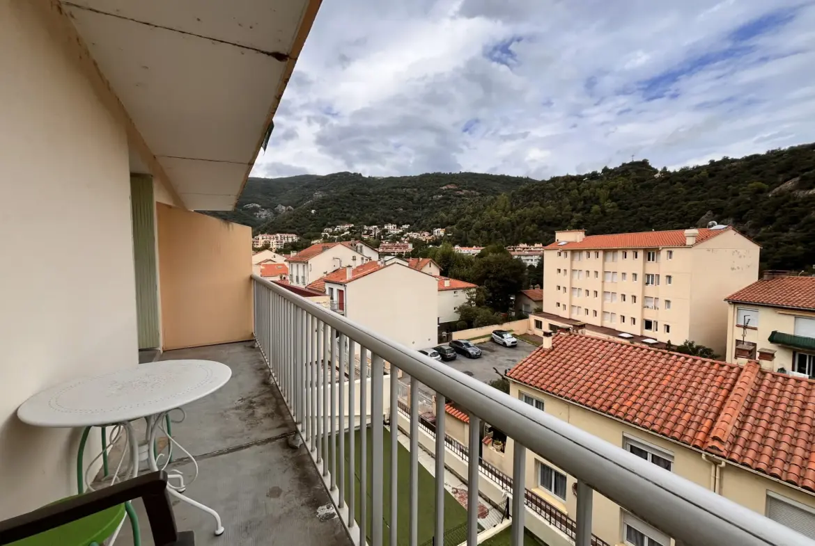 Vente Studio Meublé à Amélie-les-Bains-Palalda avec Balcon 