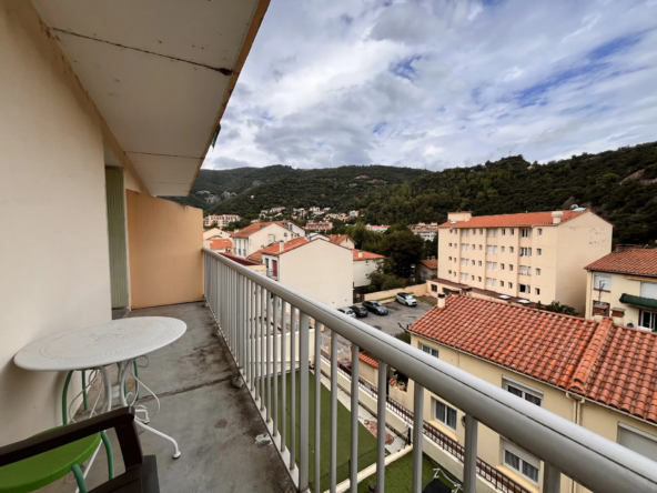 Vente Studio Meublé à Amélie-les-Bains-Palalda avec Balcon