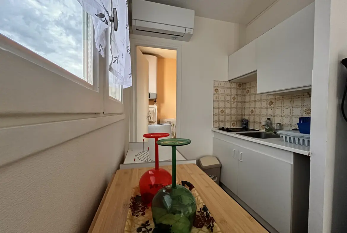 Vente Studio Meublé à Amélie-les-Bains-Palalda avec Balcon 