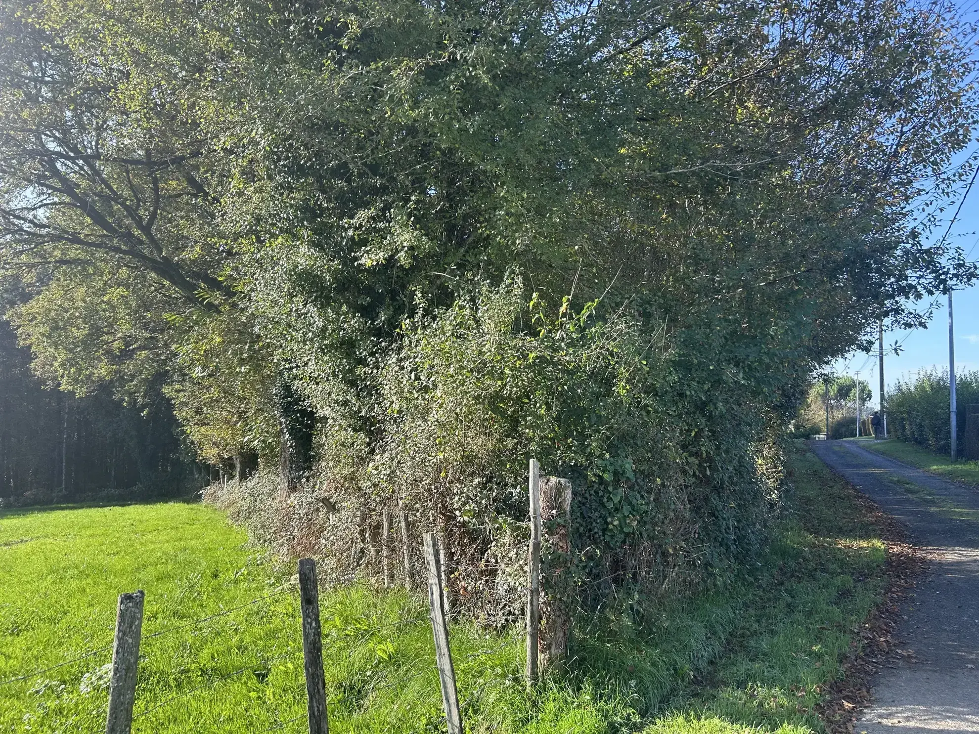 Terrain à bâtir à Saint-Clément en Corrèze 