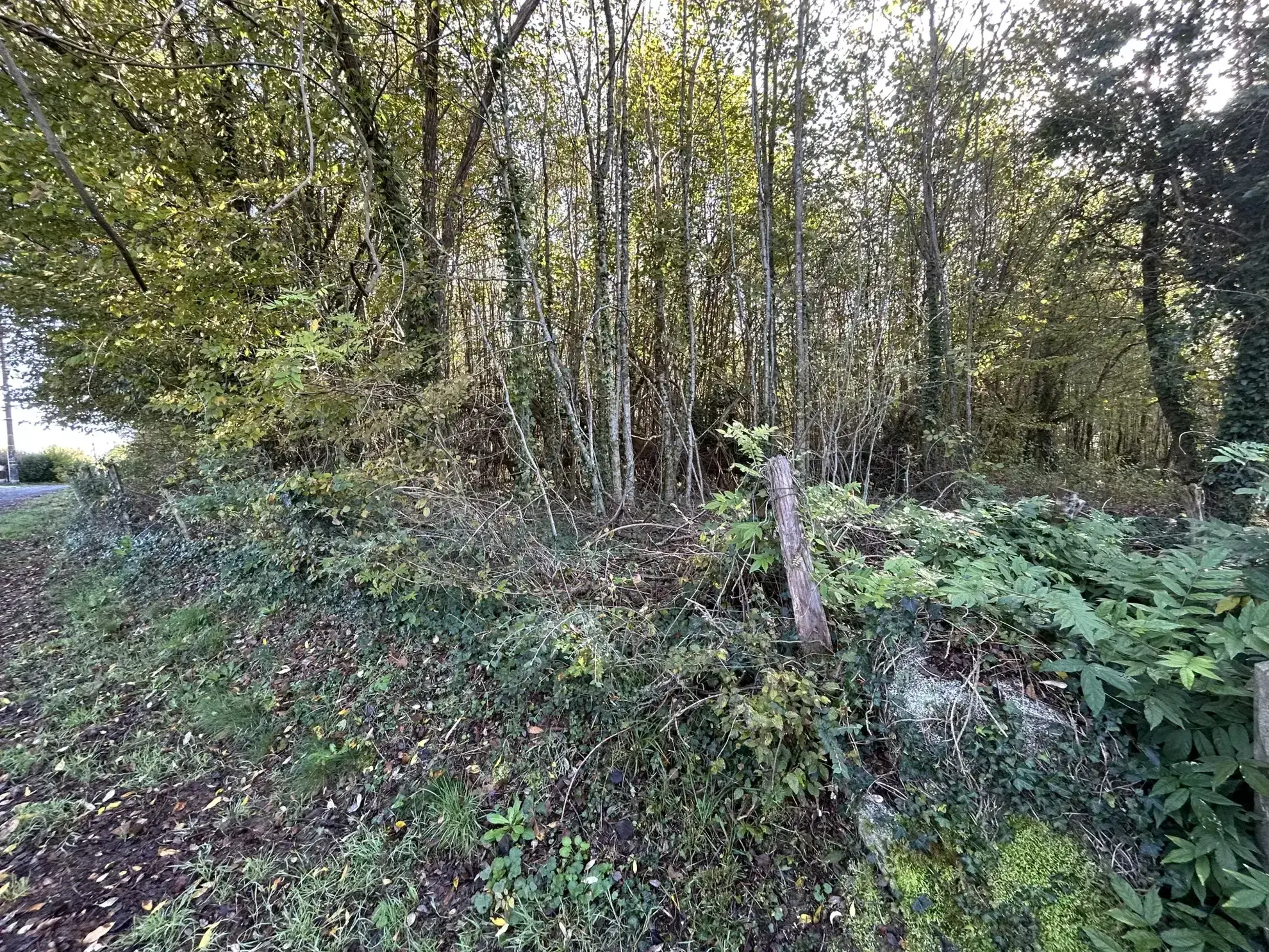 Terrain à bâtir à Saint-Clément en Corrèze 