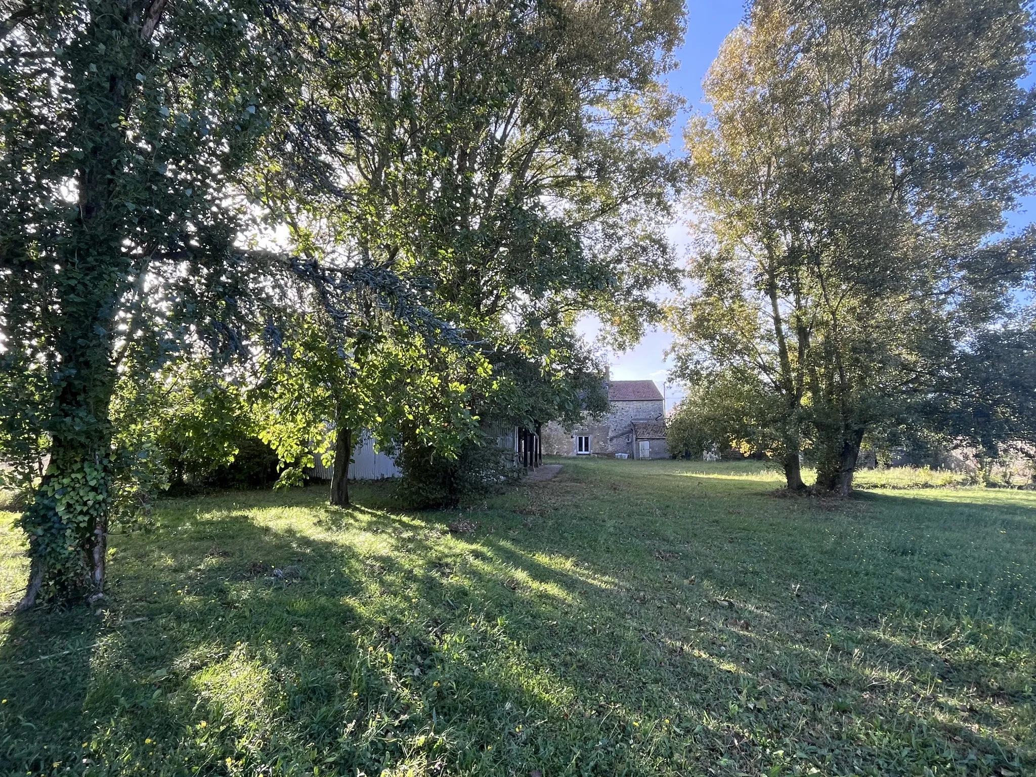 Ferme à rénover à Angerville avec hangar et dépendances 