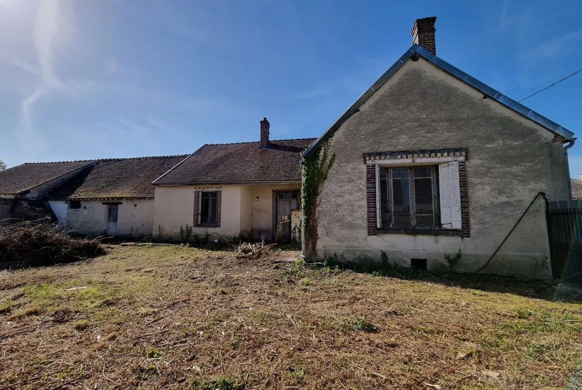 Fermette à restaurer à Bray sur Seine avec jardin de 1105 m² 