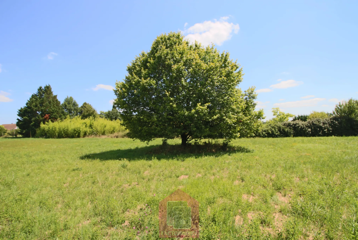 Vente de terrain constructible à Puy l'Évêque 