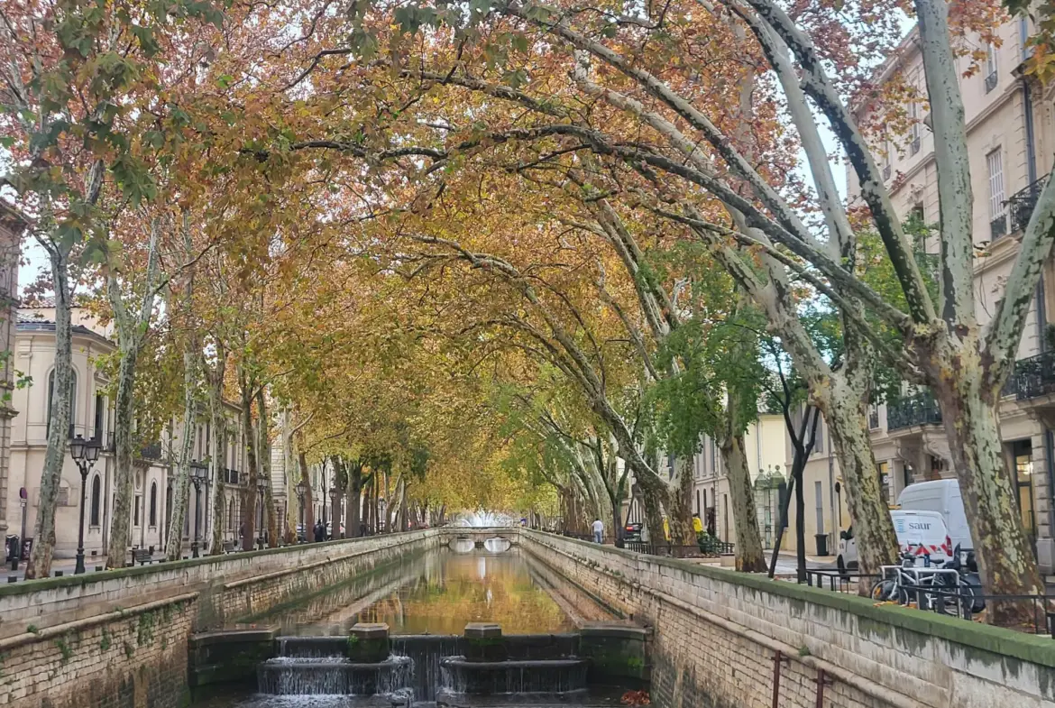 Charmant appartement T2 à vendre à Nîmes, Quai de la Fontaine 