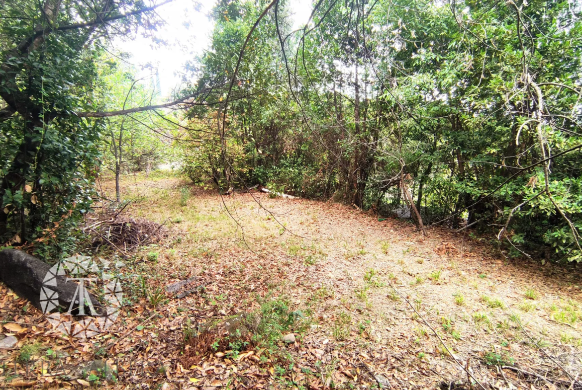 Terrain non constructible de 1148 m² à Laroque des Albères 