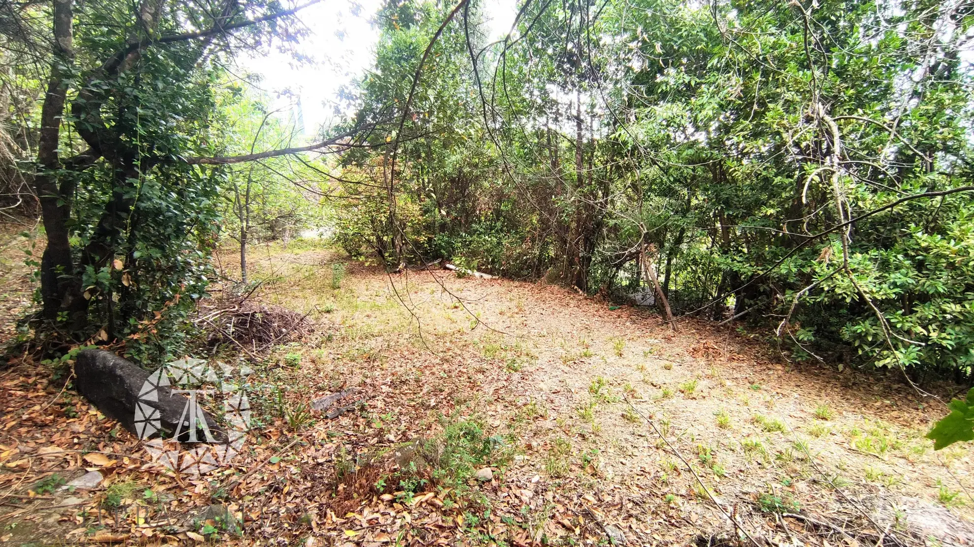 Terrain non constructible de 1148 m² à Laroque des Albères 