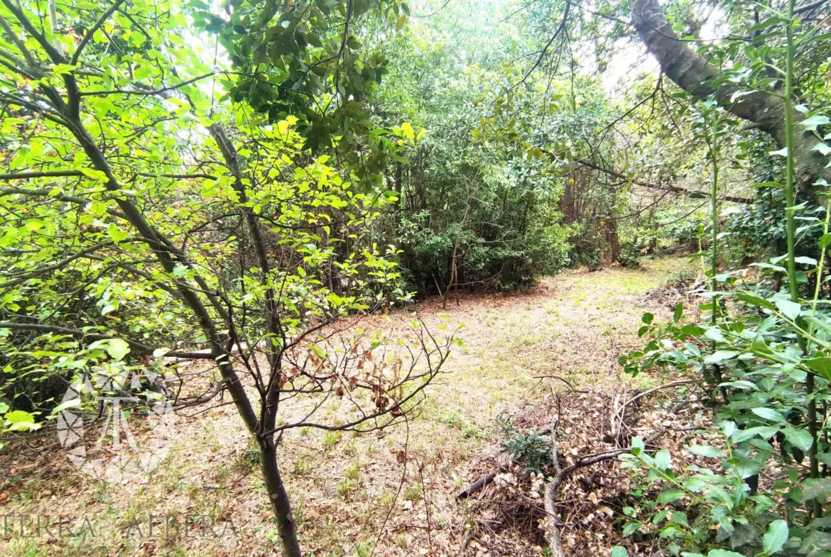 Terrain non constructible de 1148 m² à Laroque des Albères 