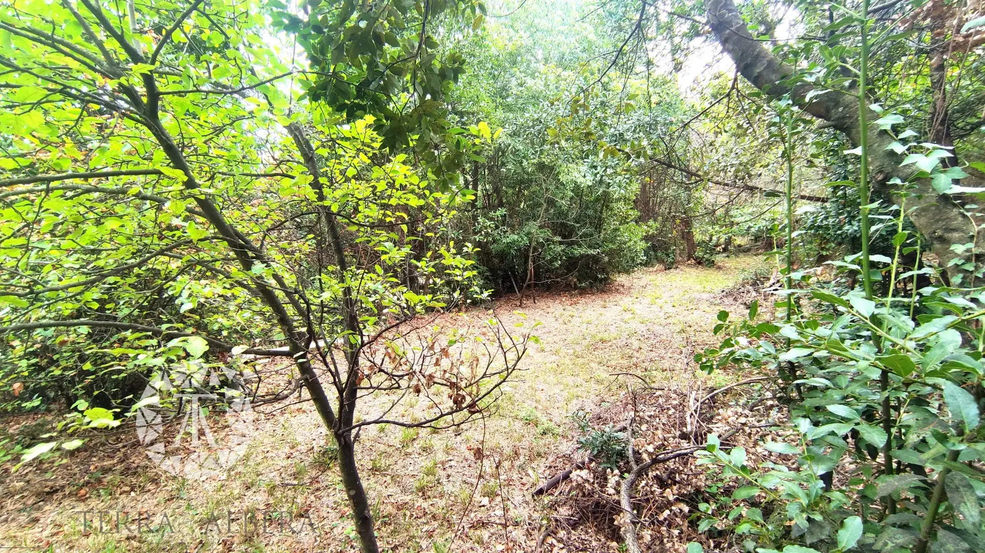 Terrain non constructible de 1148 m² à Laroque des Albères 