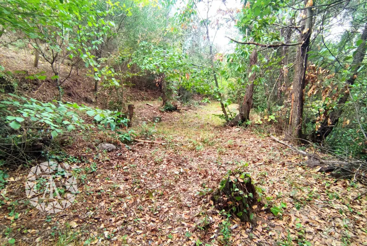 Terrain non constructible de 1148 m² à Laroque des Albères 