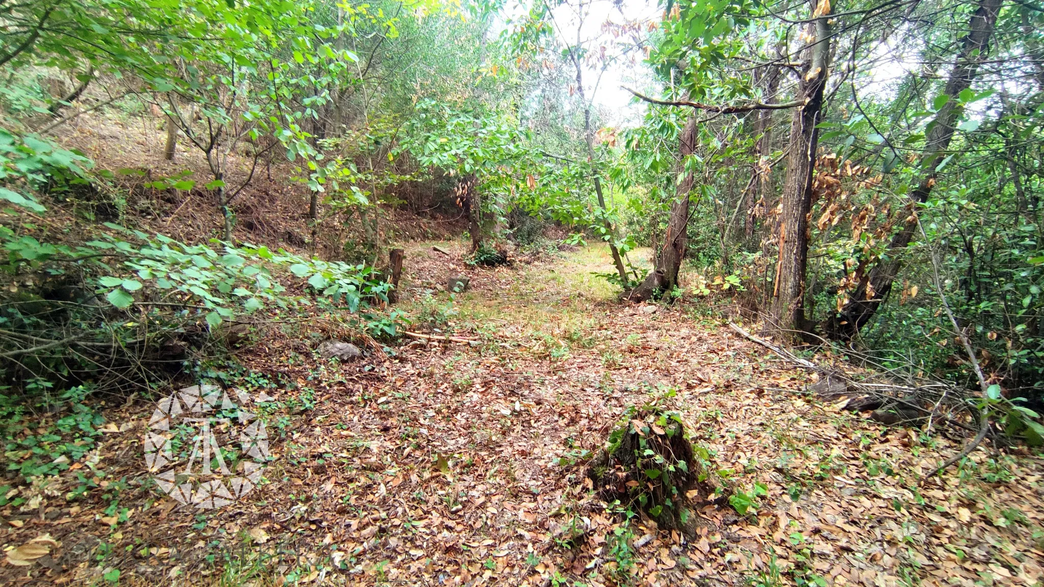 Terrain non constructible de 1148 m² à Laroque des Albères 