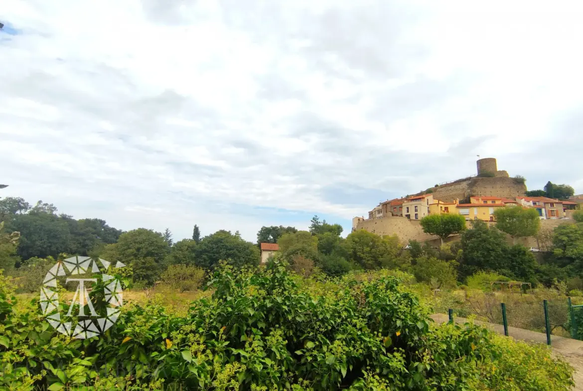 Terrain non constructible de 1148 m² à Laroque des Albères 