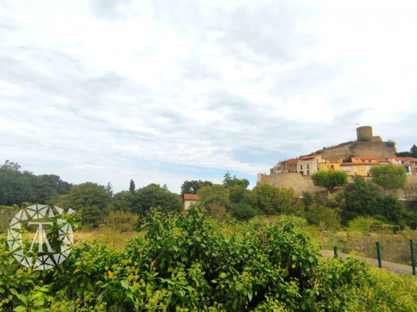 Terrain non constructible de 1148 m² à Laroque des Albères