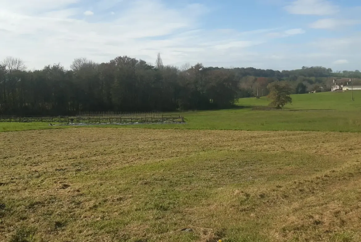 Terrain de 2 041 m2 à 5 minutes d'Orthez avec permis de construire 