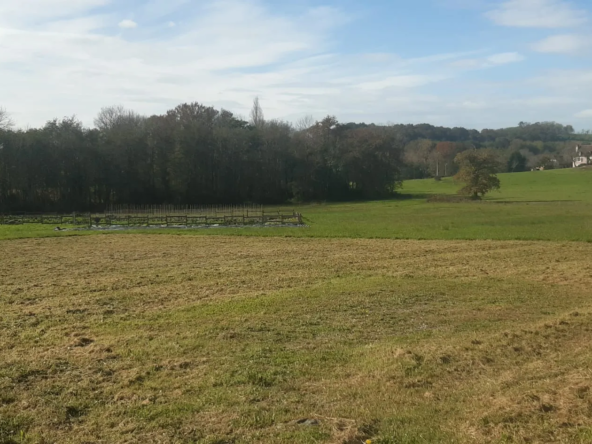 Terrain de 2 041 m2 à 5 minutes d'Orthez avec permis de construire