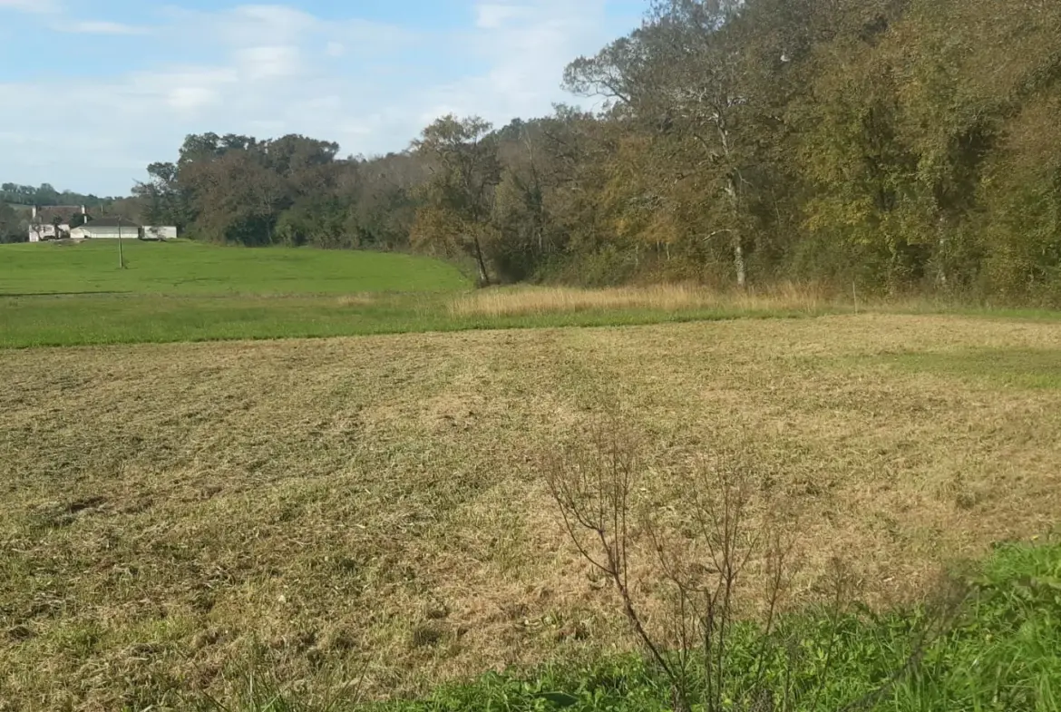 Terrain de 2 041 m2 à 5 minutes d'Orthez avec permis de construire 