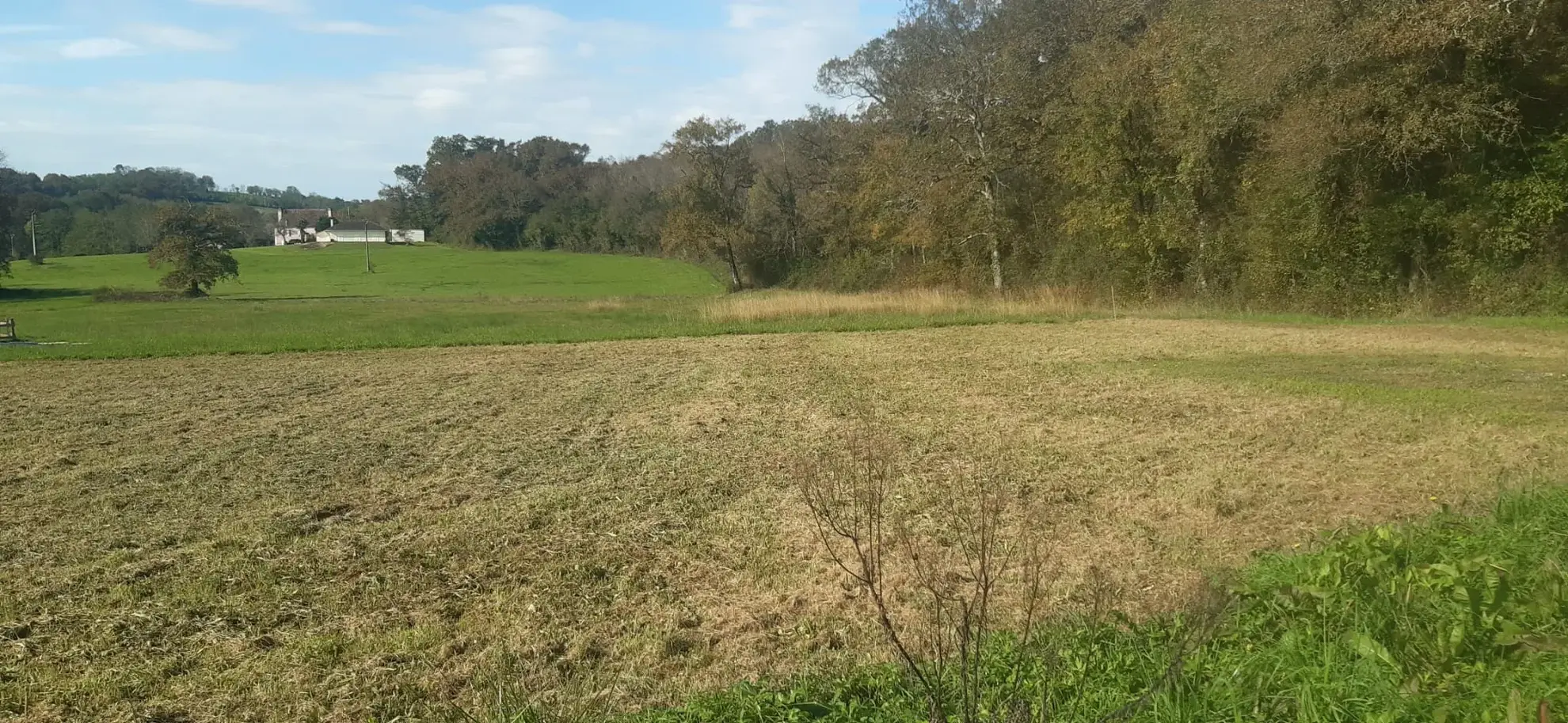 Terrain de 2 041 m2 à 5 minutes d'Orthez avec permis de construire 