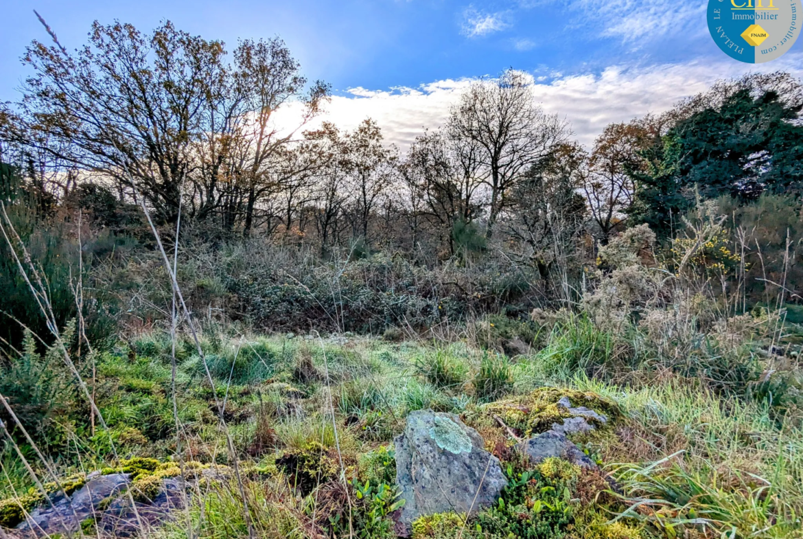 Terrain boisé à vendre à Monteneuf - 1716 m2 