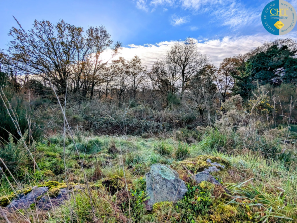 Terrain boisé à vendre à Monteneuf - 1716 m2