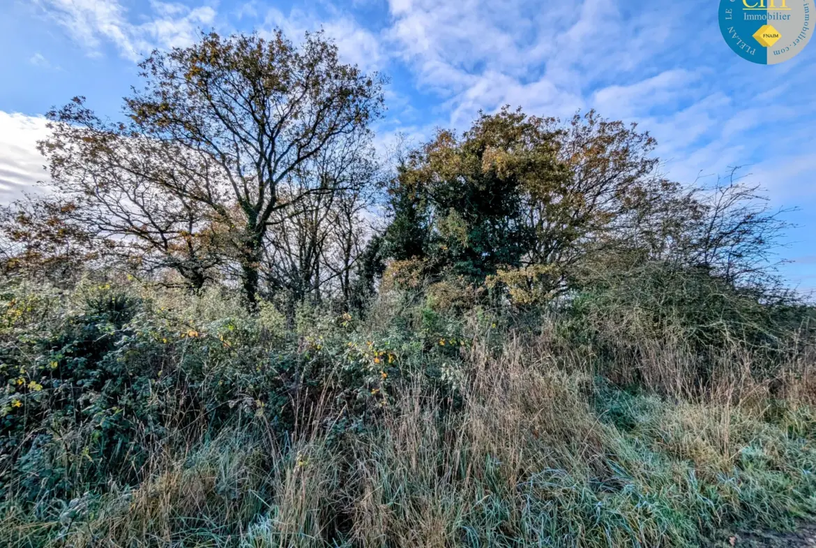 Terrain boisé à vendre à Monteneuf - 1716 m2 