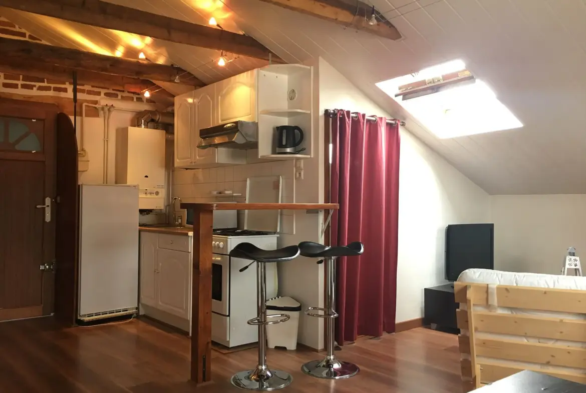 Studio à vendre à Saint-Étienne Carnot - Rentabilité exceptionnelle 