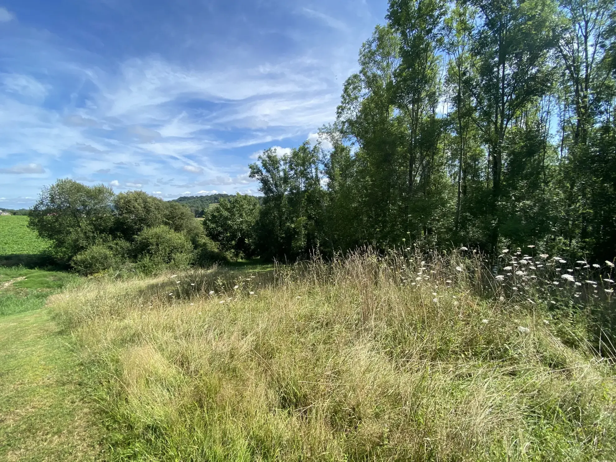 Terrain constructible à Monein - 25000 EUR 