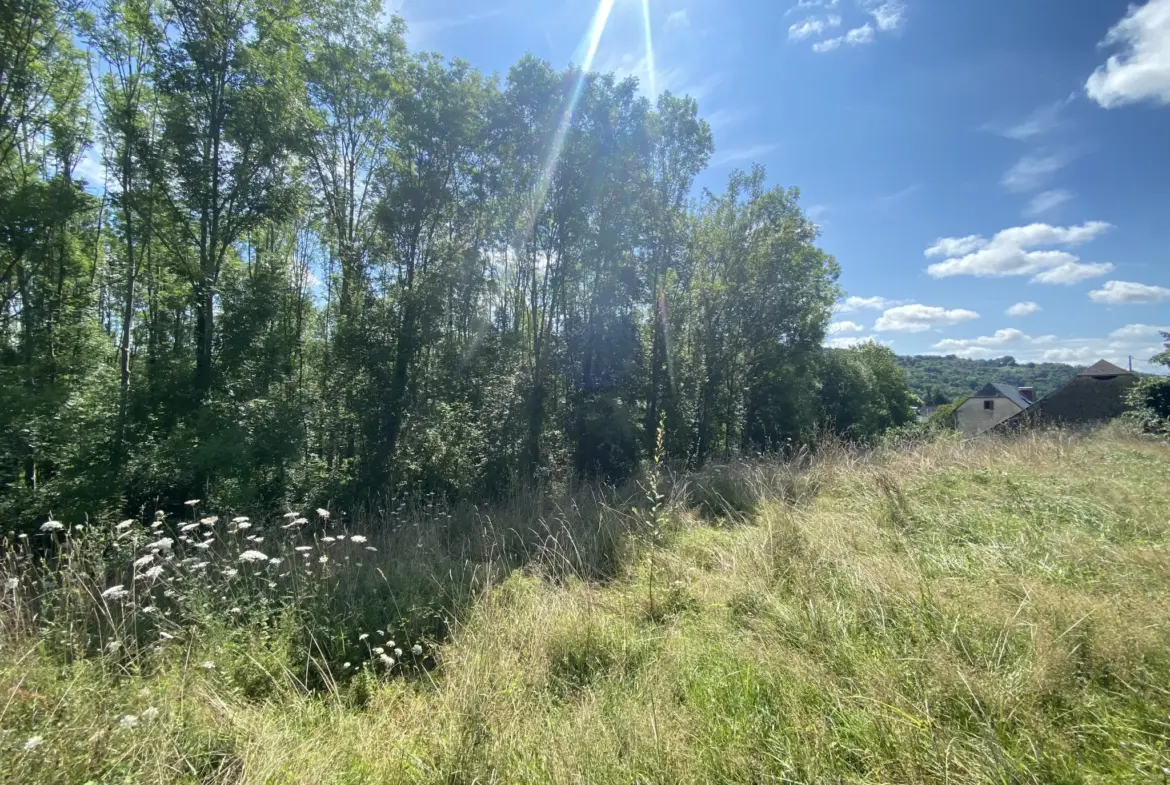 Terrain constructible à Monein - 25000 EUR 