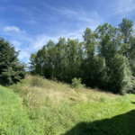 Terrain constructible à Monein - 25000 EUR