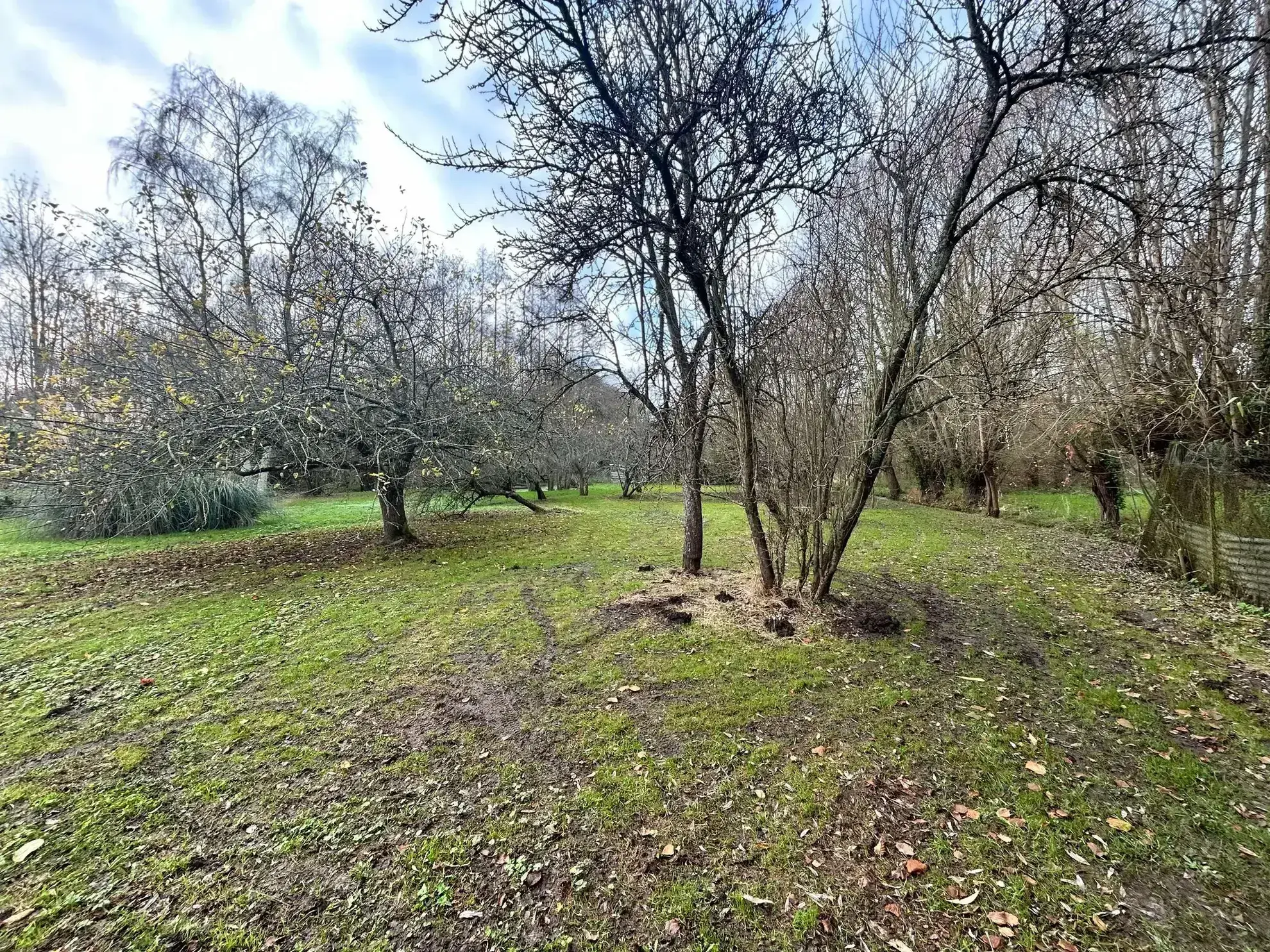 Maison individuelle rénovée à Abbeville avec jardin et dépendances 