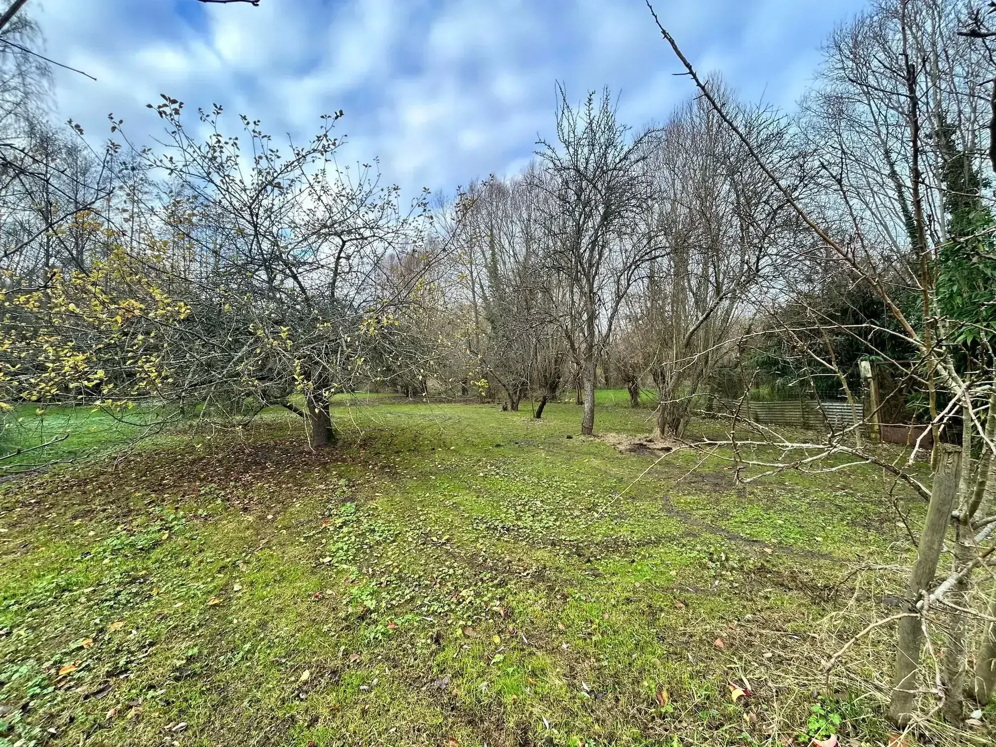 Maison individuelle rénovée à Abbeville avec jardin et dépendances 