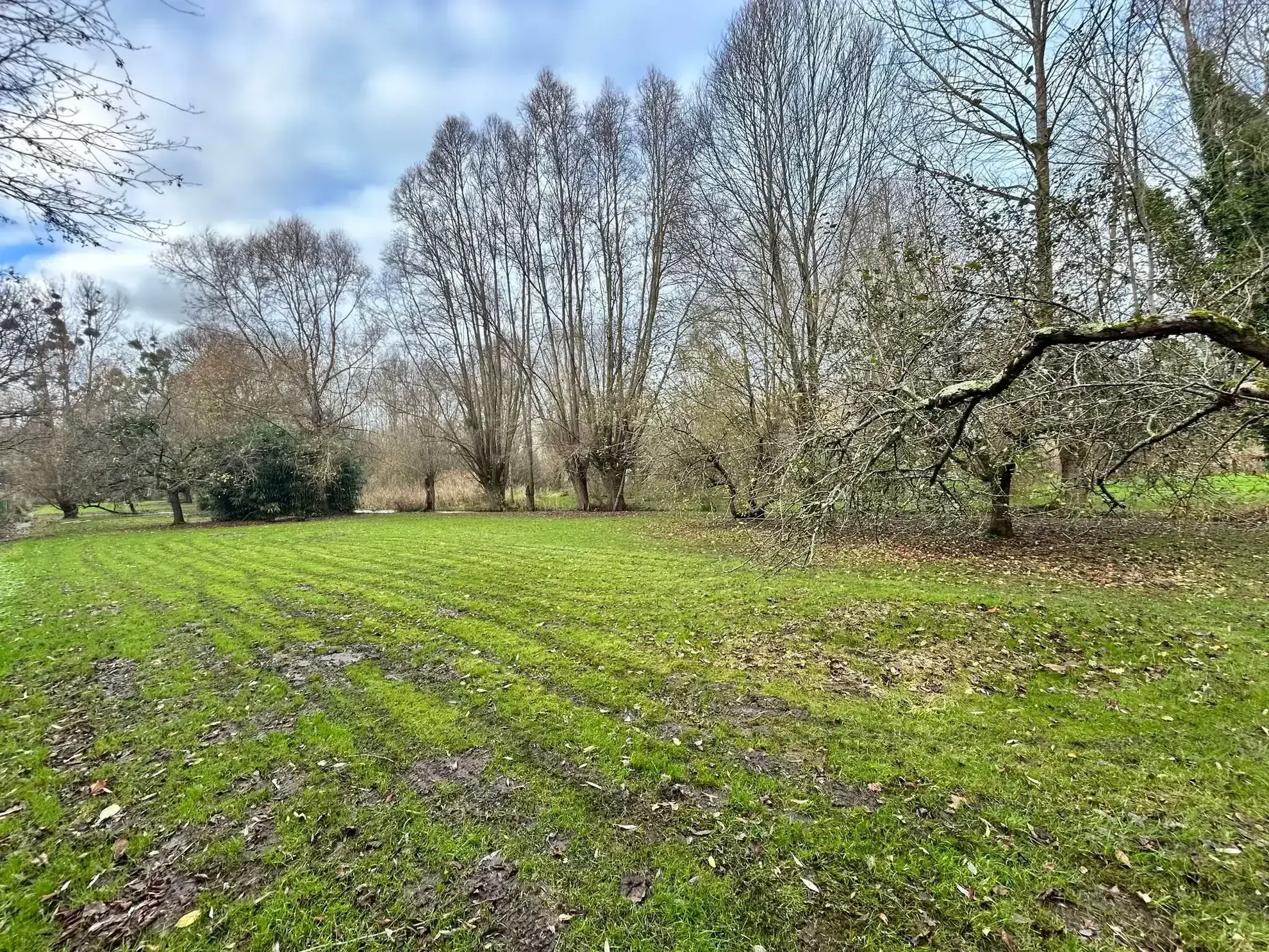 Maison individuelle rénovée à Abbeville avec jardin et dépendances 