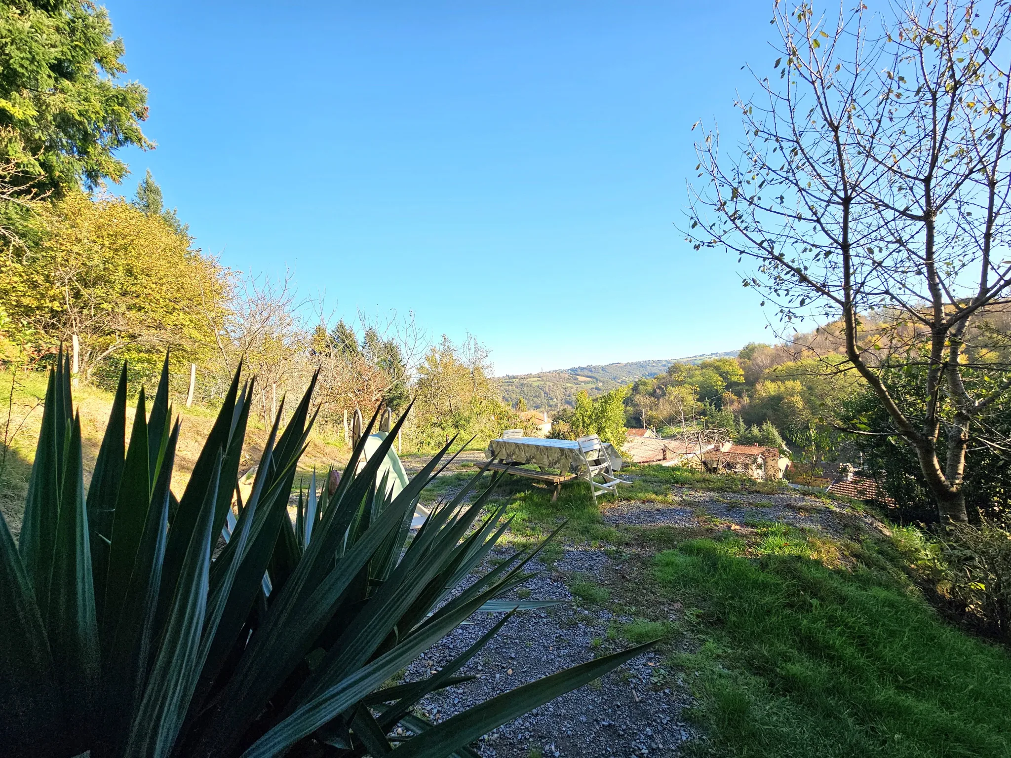 Charmante maison d'habitation à vendre avec grand terrain arboré de 9330 m² à Aubin 