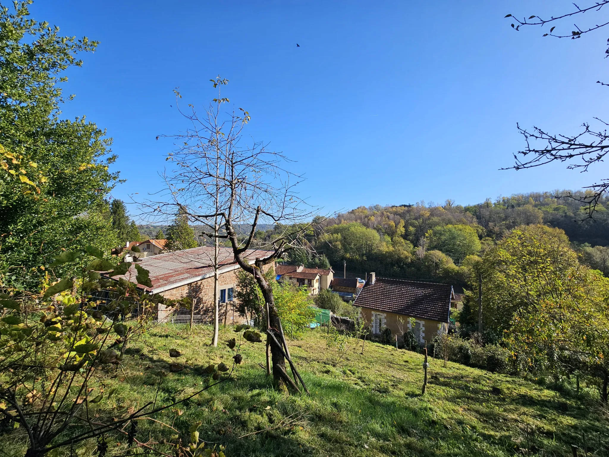 Charmante maison d'habitation à vendre avec grand terrain arboré de 9330 m² à Aubin 