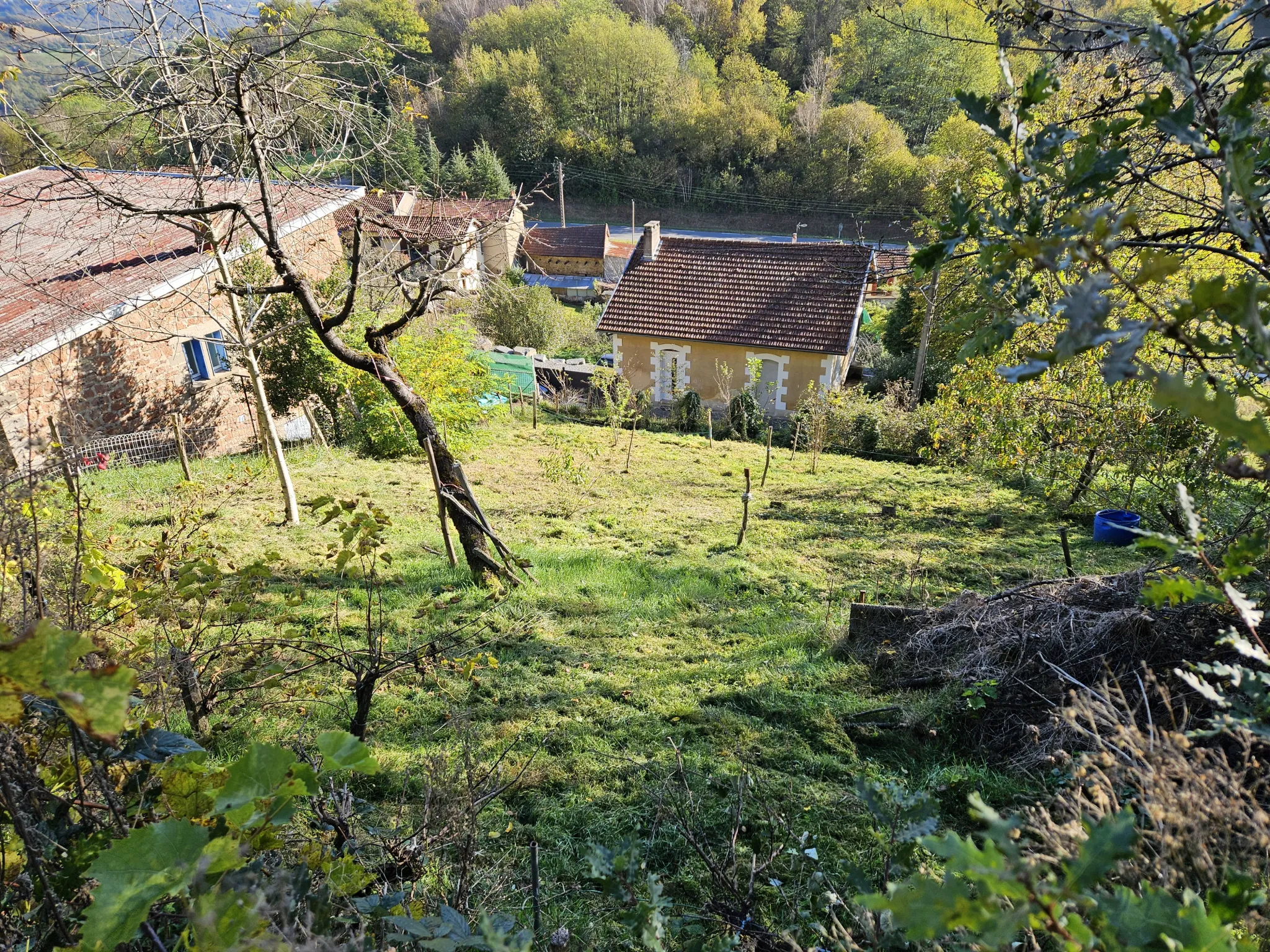 Charmante maison d'habitation à vendre avec grand terrain arboré de 9330 m² à Aubin 