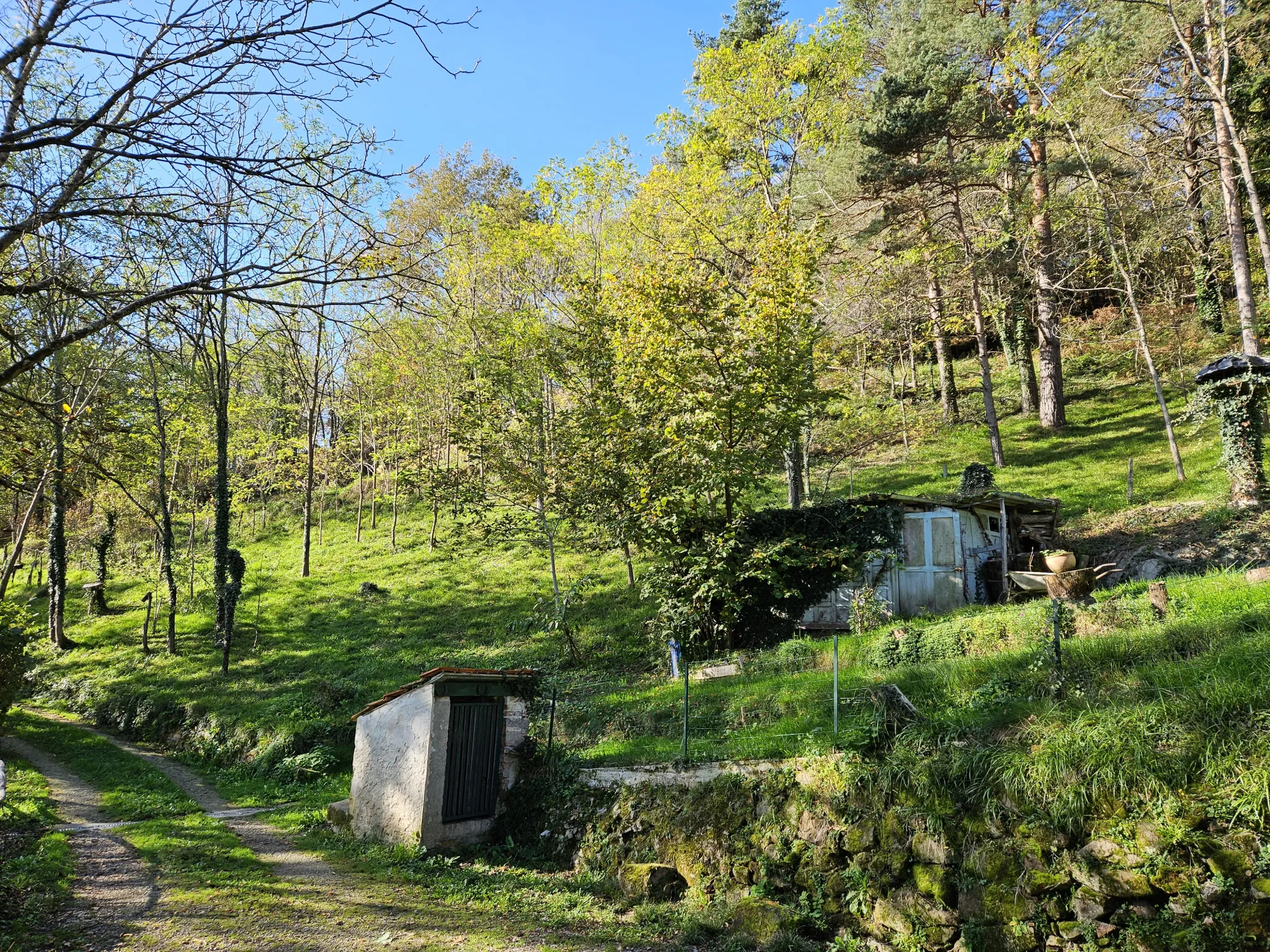 Charmante maison d'habitation à vendre avec grand terrain arboré de 9330 m² à Aubin 