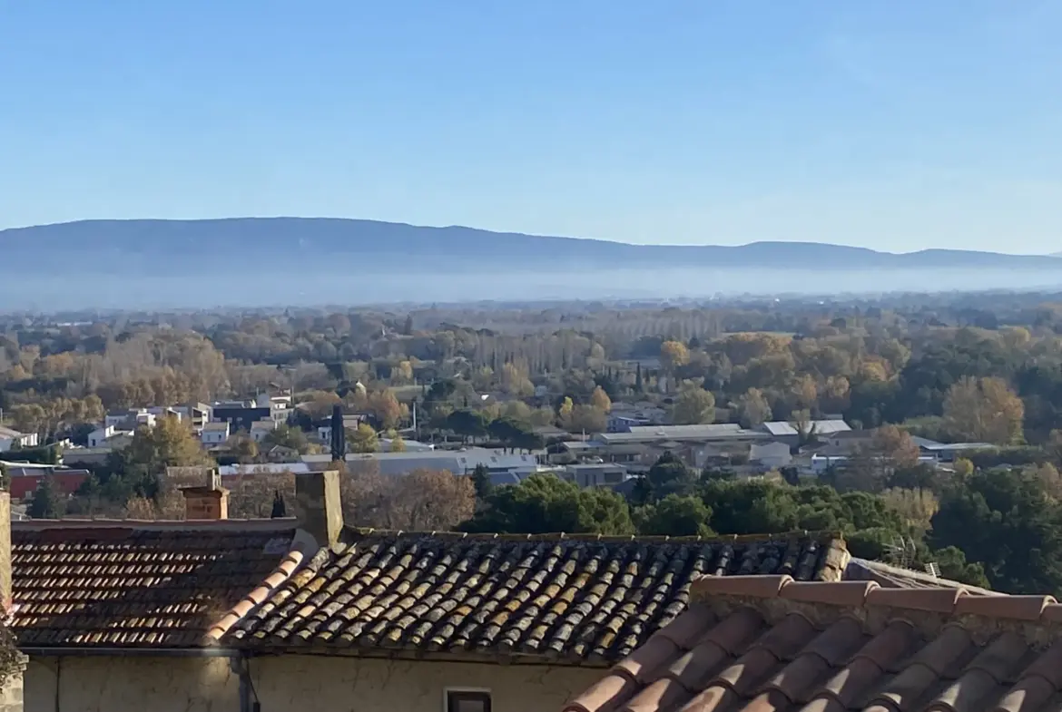 Maison de village rénovée à vendre à Châteauneuf de Gadagne - 251 000 € 