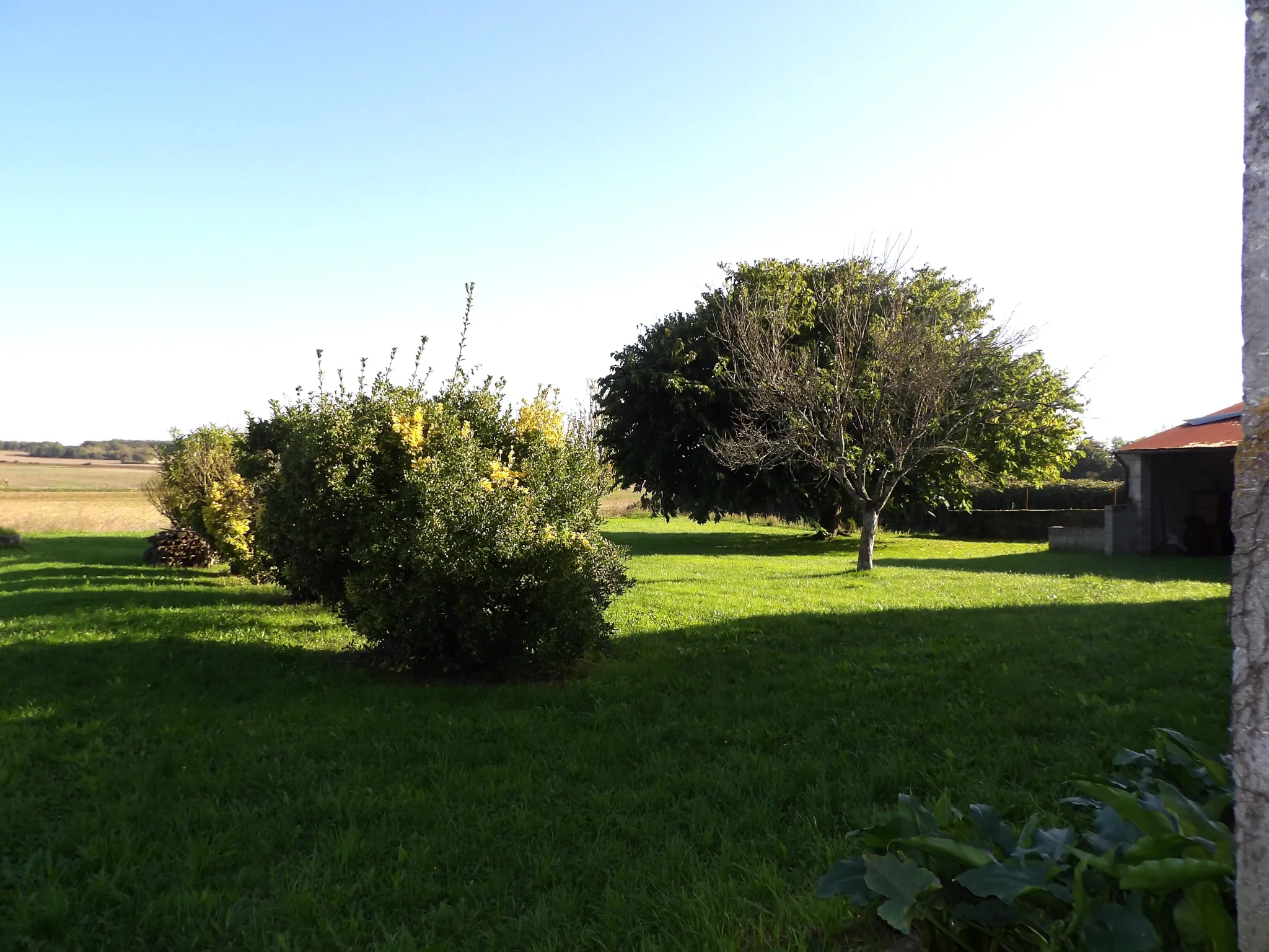 Maison charentaise à rénover avec jardin et dépendances 